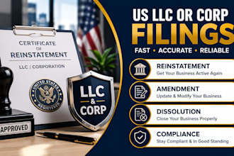 do US llc or corp reinstatement, amendment, dissolution