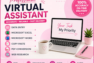 do data entry, microsoft excel, word, PDF conversion and web research