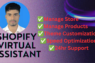 build an automated shopify store, dropshipping store, shopify website
