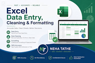 do excel data entry, data cleaning and formatting