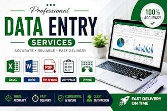 data entry microsoft excel word typing copy paste