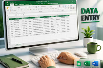 professional data entry with excel and etc