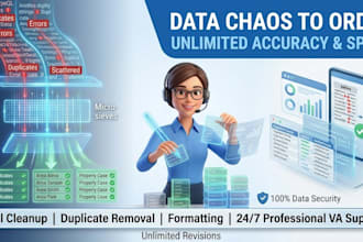 clean, format, merge, and organize your excel data