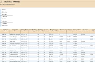 create fix format and automate and excel spreadsheets