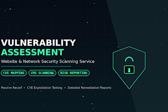 do website and network vulnerability assessment and security scan