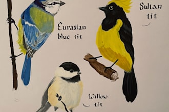 draw traditional bird illustration
