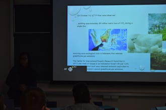 do environmental research, data analysis, and report writing
