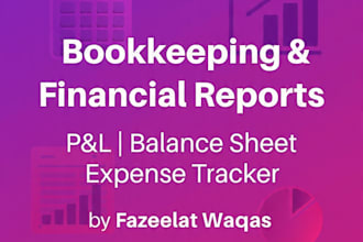 create p and l balance sheet and financial reports