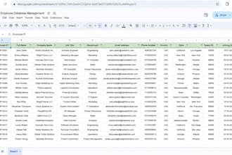 accurate data entry and ms office tasks with fast typing