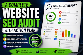 do a complete website SEO audit with action plan