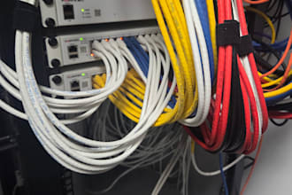 it support, m356, networking