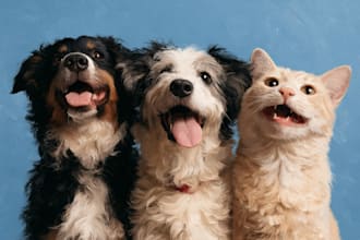 do a custom pet portrait, dog portrait, cat portrait
