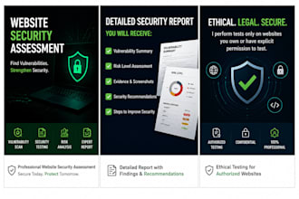 assess your website for basic security vulnerabilities
