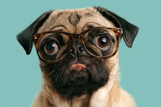 draw a digital portrait of your pet