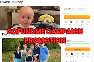 do gofundme campaign promotion, gofundme crowdfunding campaign