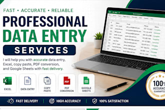 do accurate data entry exceldata entry copy paste and typing