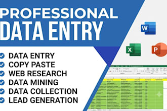 do accurate excel data entry, copy paste, typing and web research