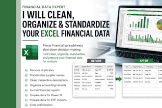 clean and organize your excel financial data