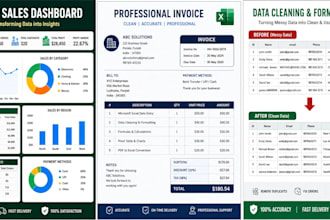 do professional excel data entry, cleaning and formatting