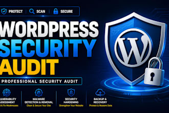 perform a website security audit and vulnerability assessment