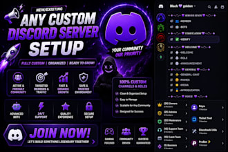 create a professional discord server with bots and roles
