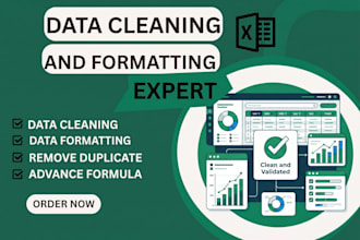 clean up organize and your excel data