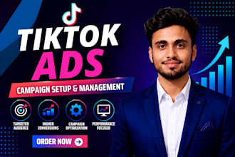 manage tiktok ads campaign as your tiktok ads manager