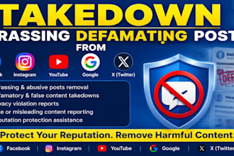 takedown harassing defaming posts from facebook instagram youtube tiktok google