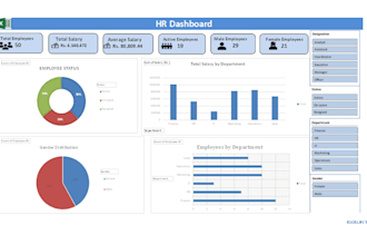 create professional microsoft excel dashboards and reports