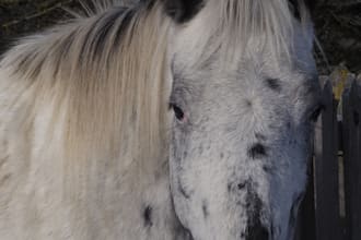 capture professional landscape and wildlife photography