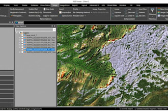 create forest health, canopy, and burn severity maps from satellite and lidar