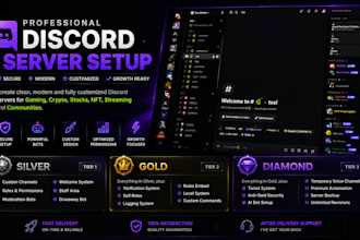 setup a professional custom discord server