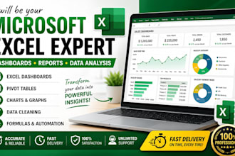 create professional microsoft excel dashboards, reports, and spreadsheets