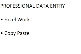 do professional data entry, excel and back office support