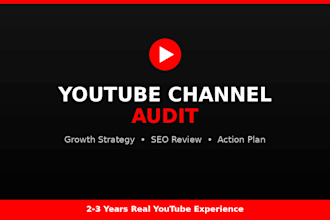 do a professional youtube channel audit and growth strategy
