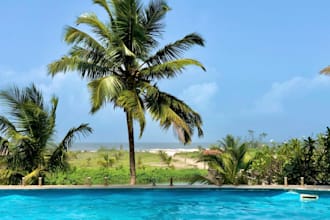provide professional swimming lessons and stroke improvement