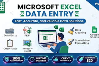 excel data entry and copy paste tasks