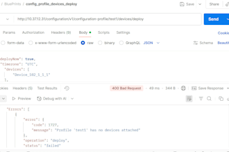 functional and automation testing and API automation testing