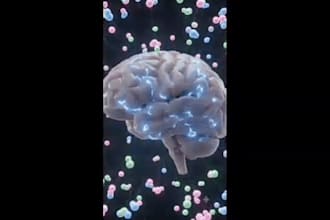 create ai healthcare videos about the brain and love