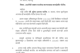 do accurate marathi and english typing, PDF to word, and data entry