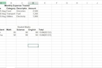 do data entry in excel workbook sheet