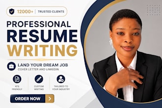 write an executive director, vp, CEO resume and cover letter