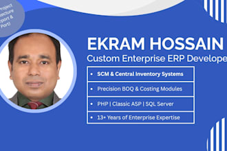 erp consultation and bug fixing