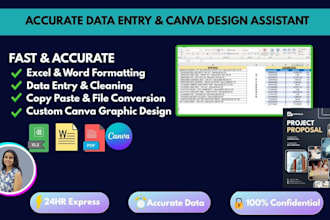 do accurate data entry virtual assistant tasks and custom canva design