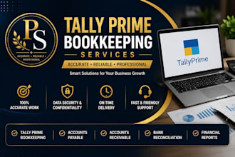 do tally prime bookkeeping, accounting and excel work