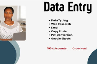 do data entry, excel, copy paste and web research
