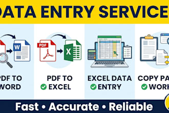 do accurate data entry, copy paste, PDF to word and excel