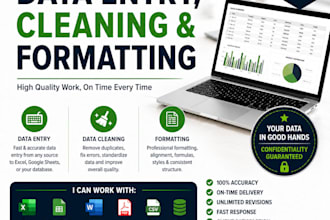 do accurate excel data entry and formatting
