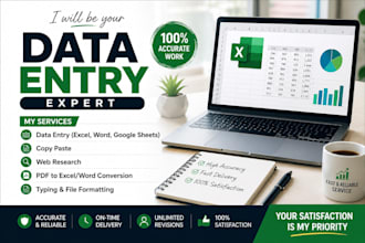 do accurate data entry, copy paste, web research and excel data entry