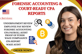 provide forensic accounting, income determination and court ready CPA report
